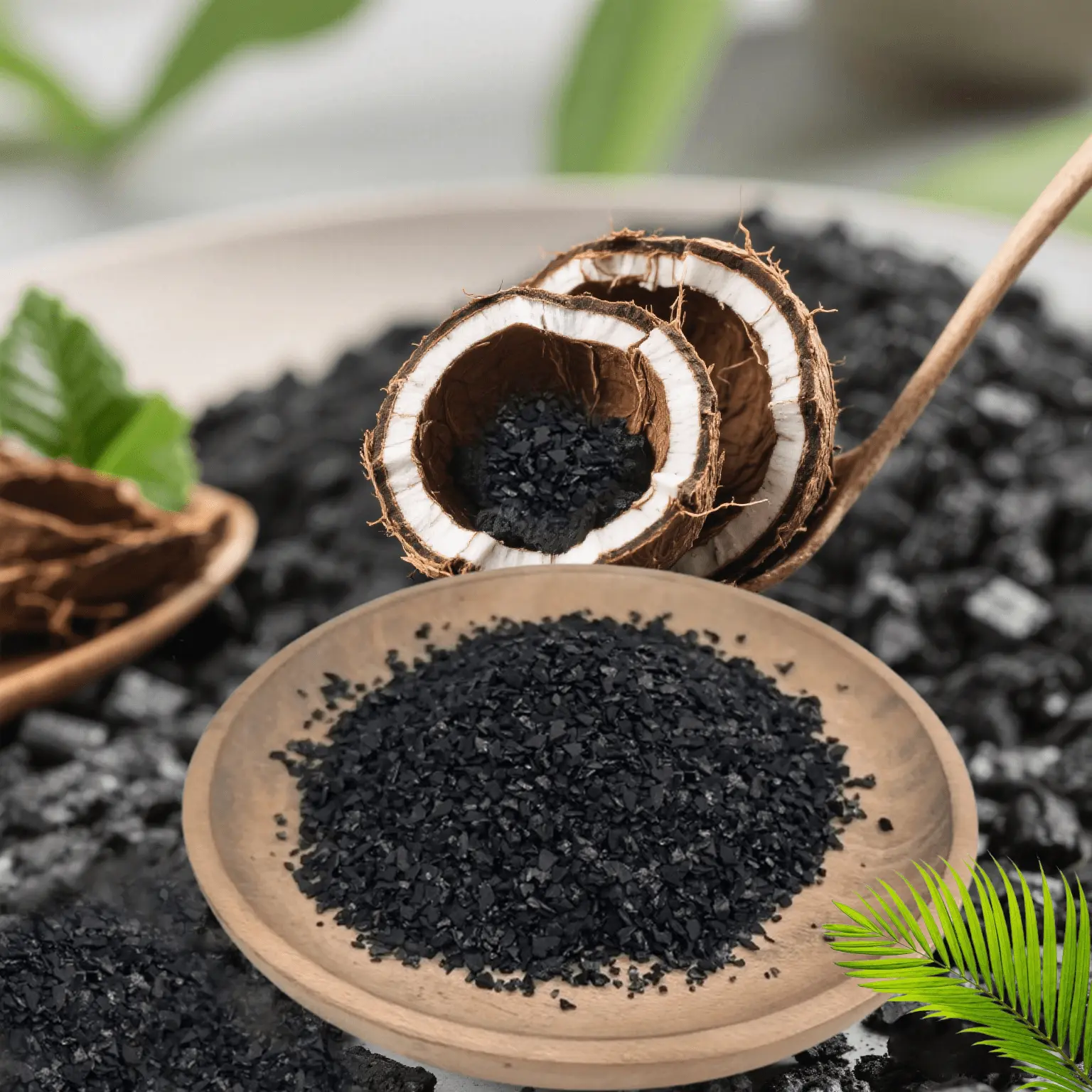 Coconut Shell Activated Carbon